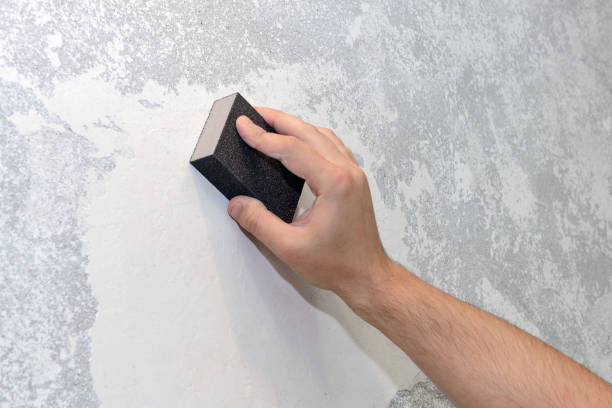 Best Post-Construction Mold Inspection  in Jerome, ID