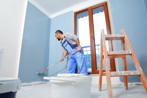 Best Attic Mold Removal  in Jerome, ID