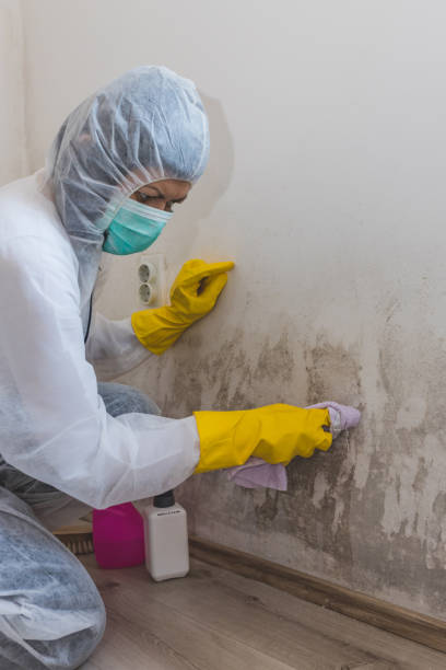 Asbestos and Lead Testing During Mold Inspection