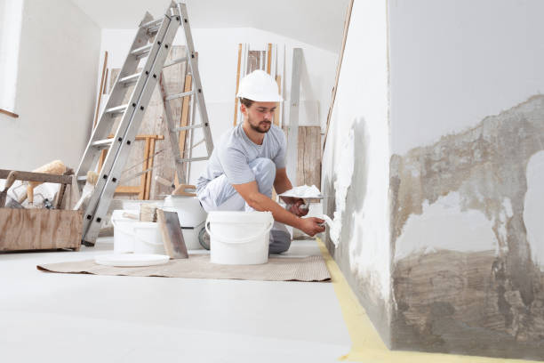 Best Industrial Mold Remediation  in Jerome, ID