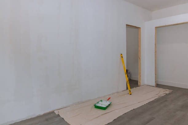 Professional Mold Removal in Jerome, ID