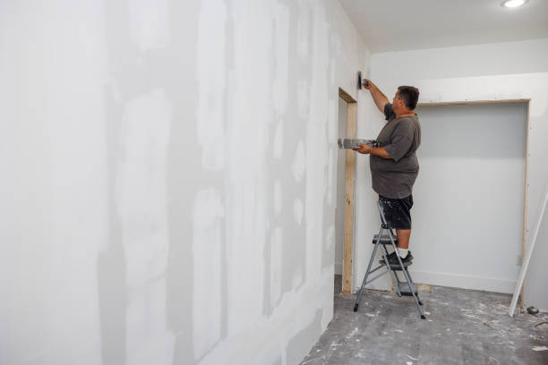 Best Forensic Mold Investigation  in Jerome, ID